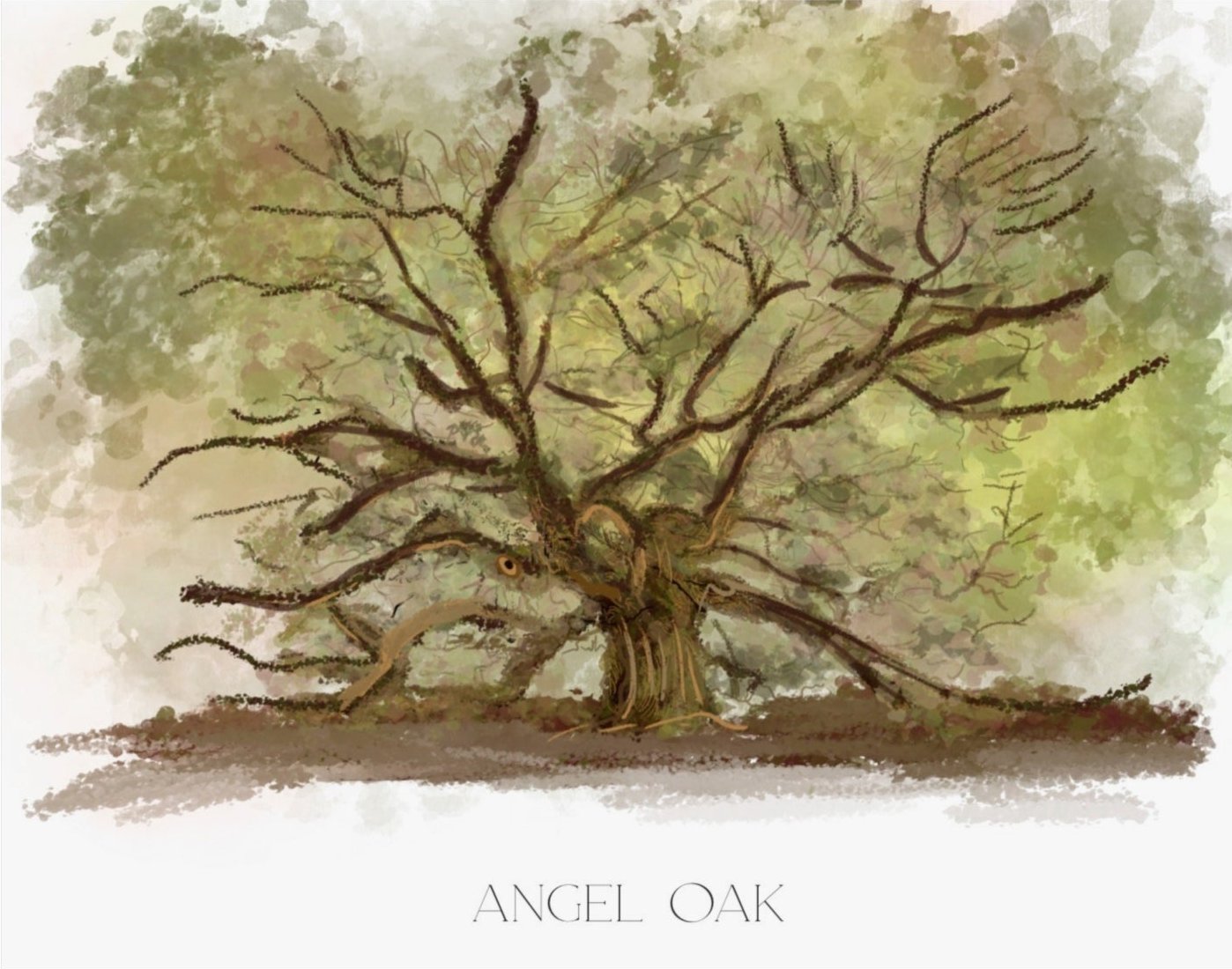 ANGEL OAK - Art Print