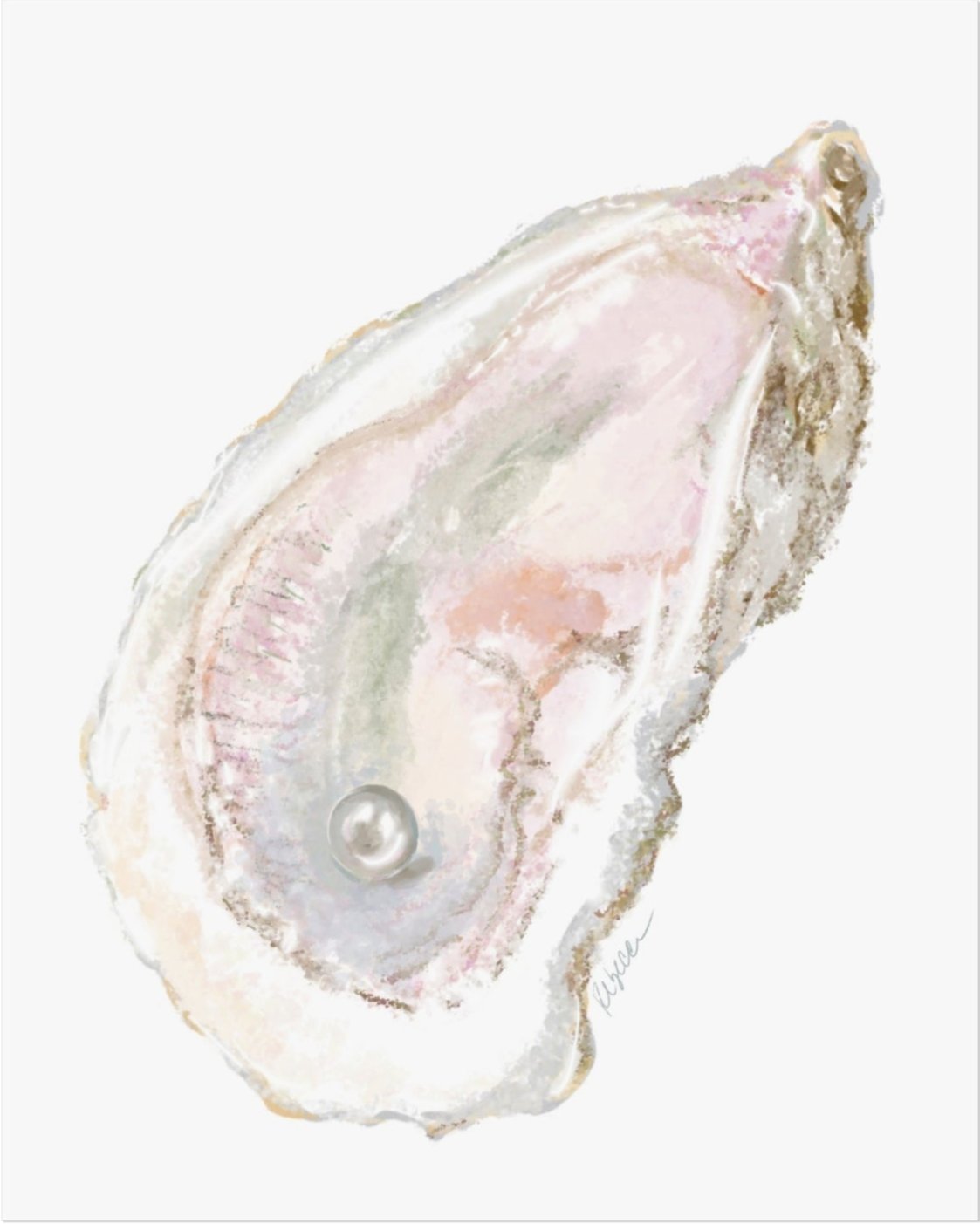 SINGLE OYSTER - Art Print