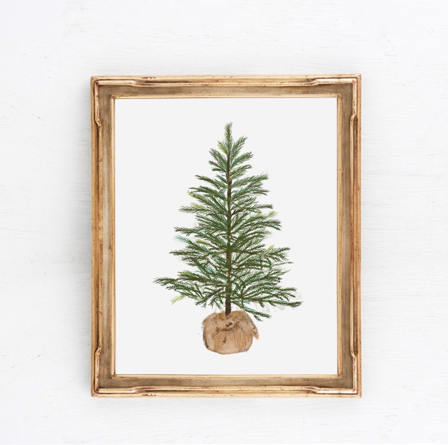 BURLAP TREE - Art Print