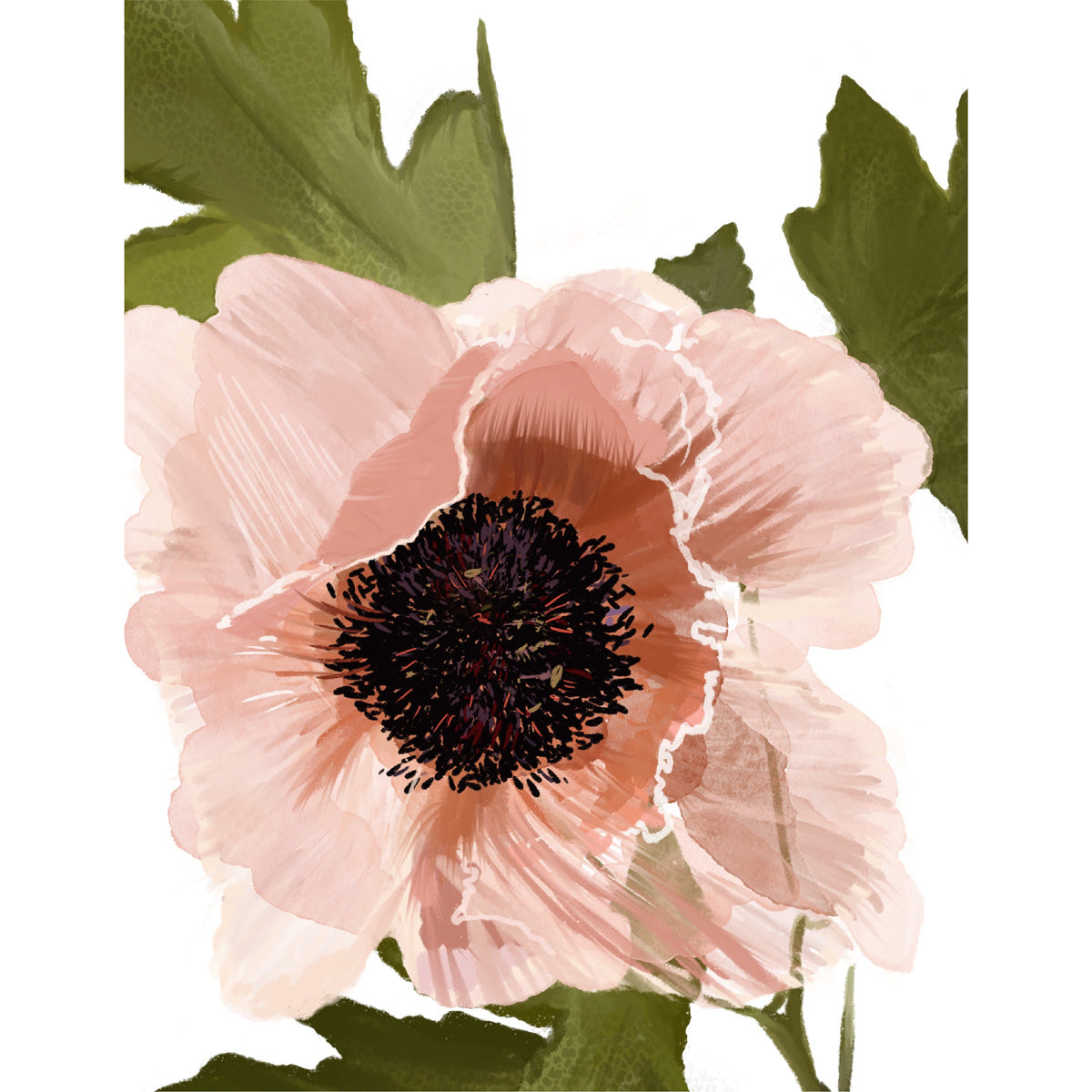 POPPY - Art Print