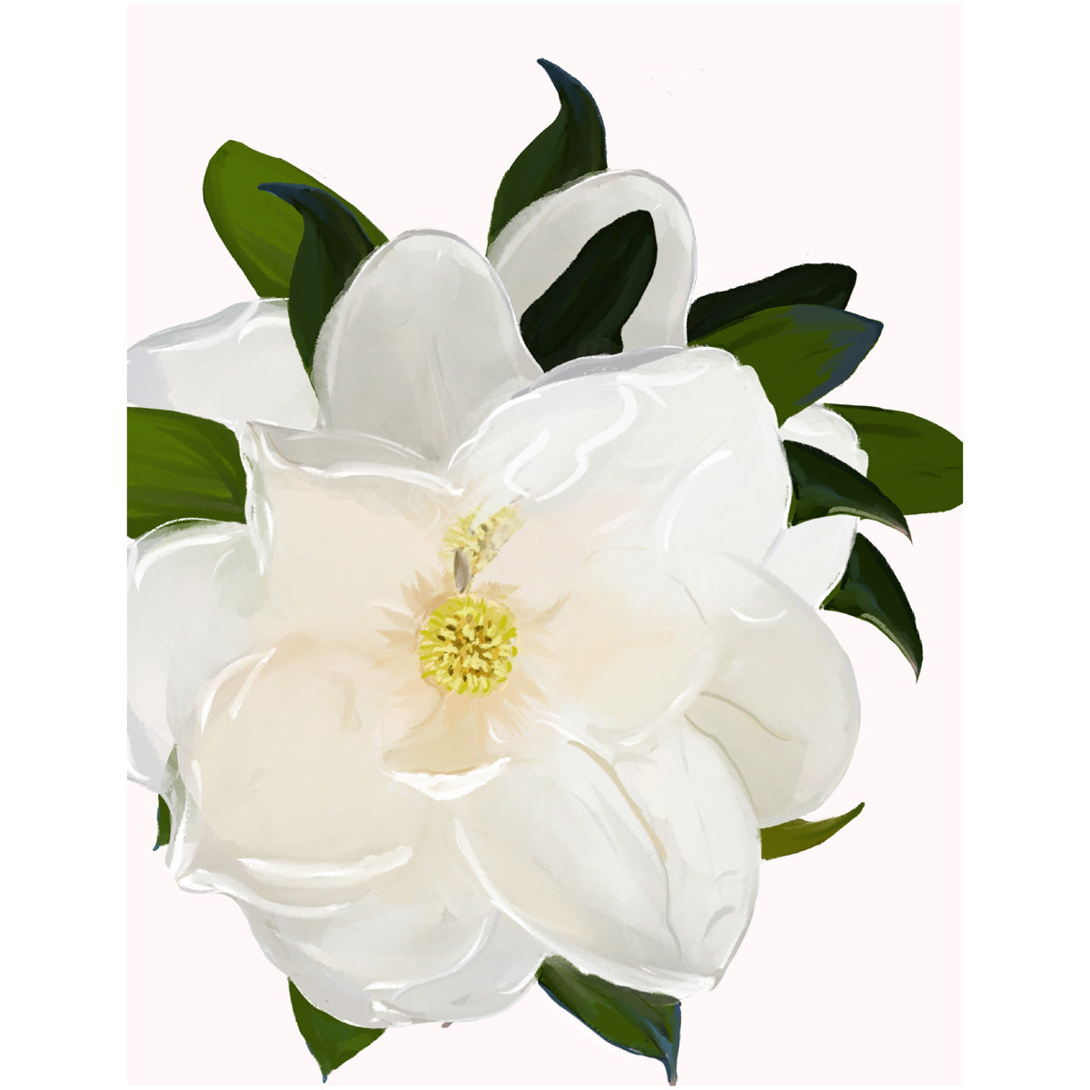 MAGNOLIA - Art Print
