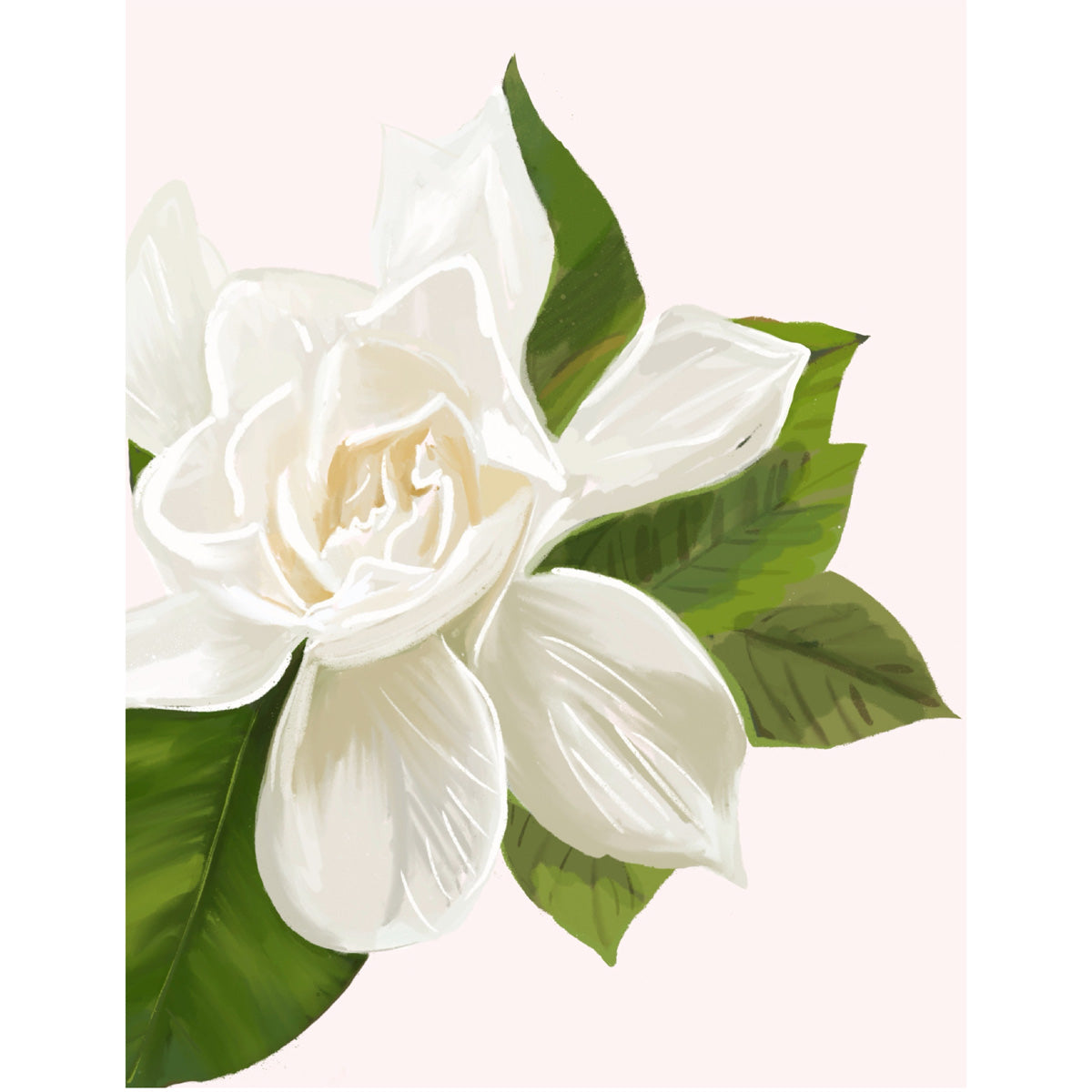 GARDENIA - Art Print