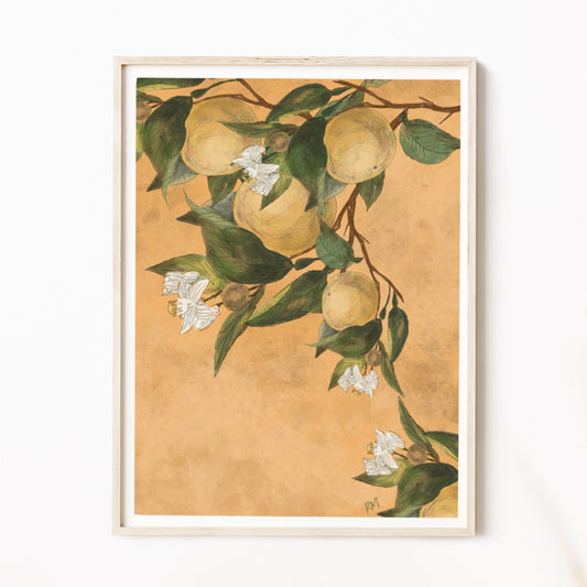 ORANGES - Art Print